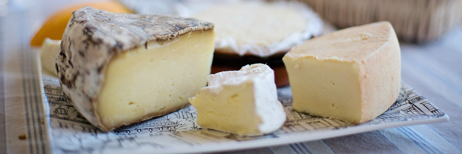 Paladarqueso
